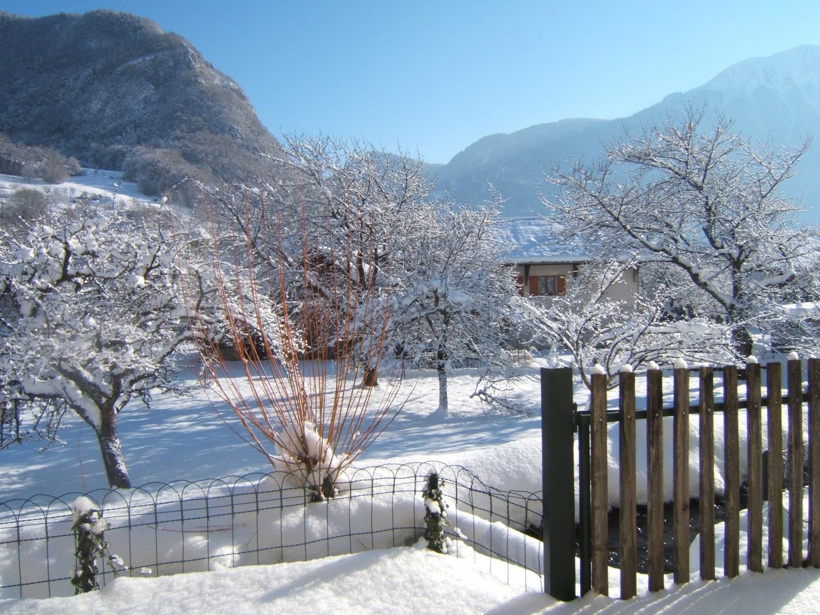 Un jardin d'hiver compartimenté