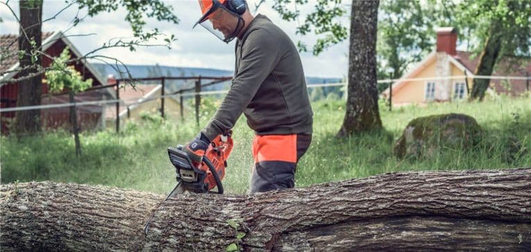 Quels sont les gestes efficaces pour entretenir sa pelouse pendant l’été ?